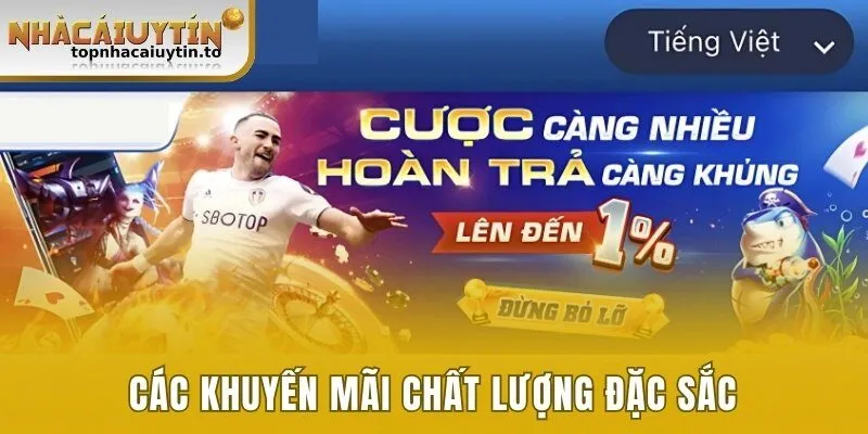 Các khuyến mãi chất lượng đặc sắc 