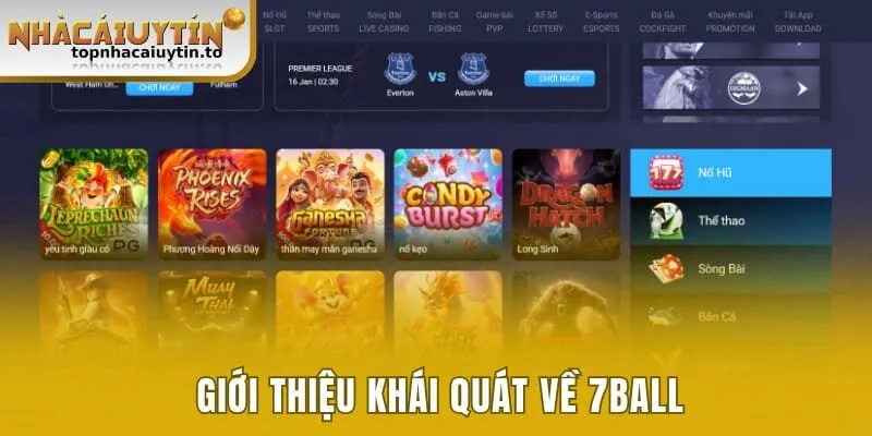 Giới thiệu khái quát về 7ball