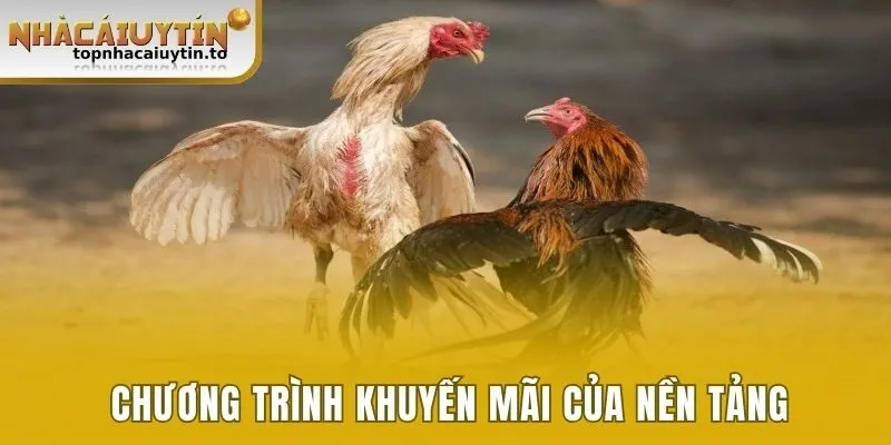 Liệt kê chương trình khuyến mãi của nền tảng