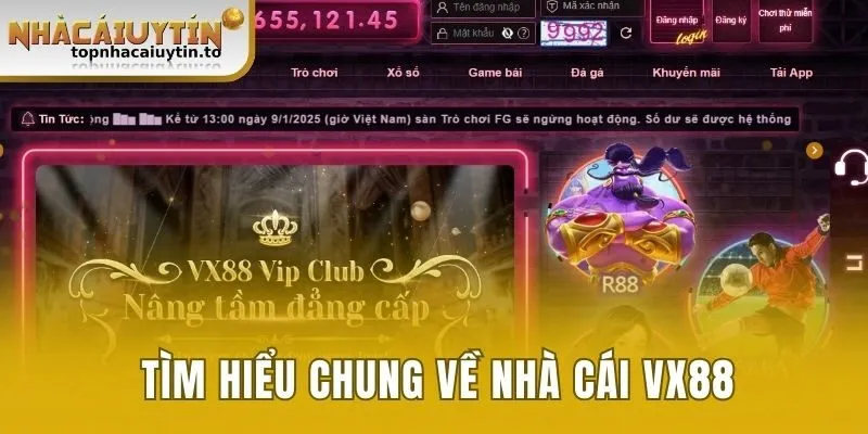 Nắm bắt thông tin về nhà cái VX88