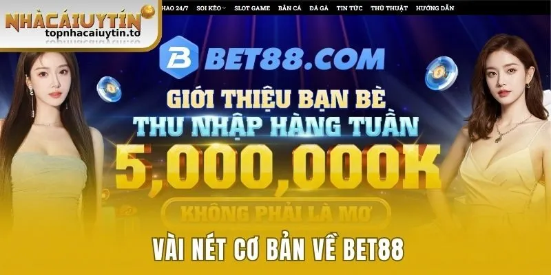 Sơ lược thông tin về đơn vị Bet88