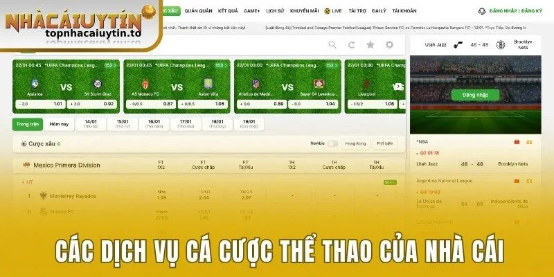 Tổ hợp các dịch vụ cá cược thể thao của nhà cái