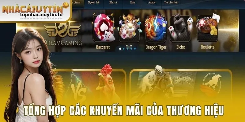 Tổng hợp các khuyến mãi của thương hiệu 