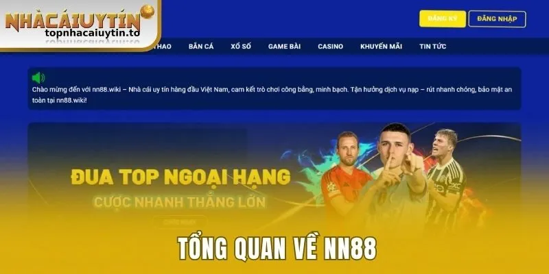 Tổng quan về NN88 