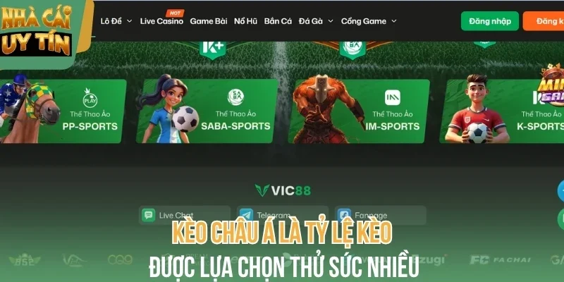 Kèo châu Á là tỷ lệ kèo được lựa chọn thử sức nhiều